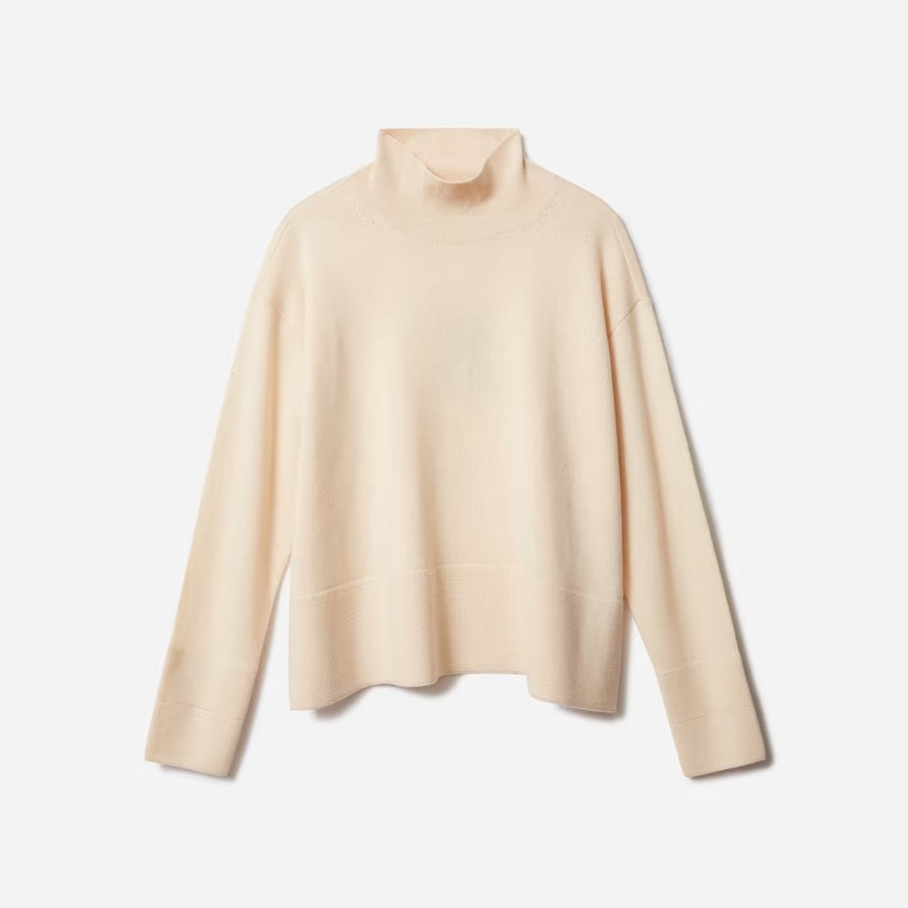 Everlane cashmere square turtleneck sweater